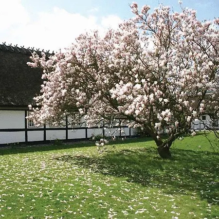 Marielyst Badehotel Hotel